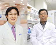 가톨릭관동대 국제성모병원, 유방암서 발현되는 특정 RNA 진단-억제하는 기술 개발