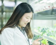 상추의 계절은 바꾸다…병원 지하서 쌈채소 키우는 식물공장장