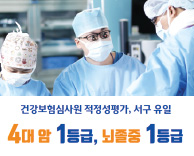 건강보험심사원 적정성평가 4대암 1등급, 뇌졸중 1등급